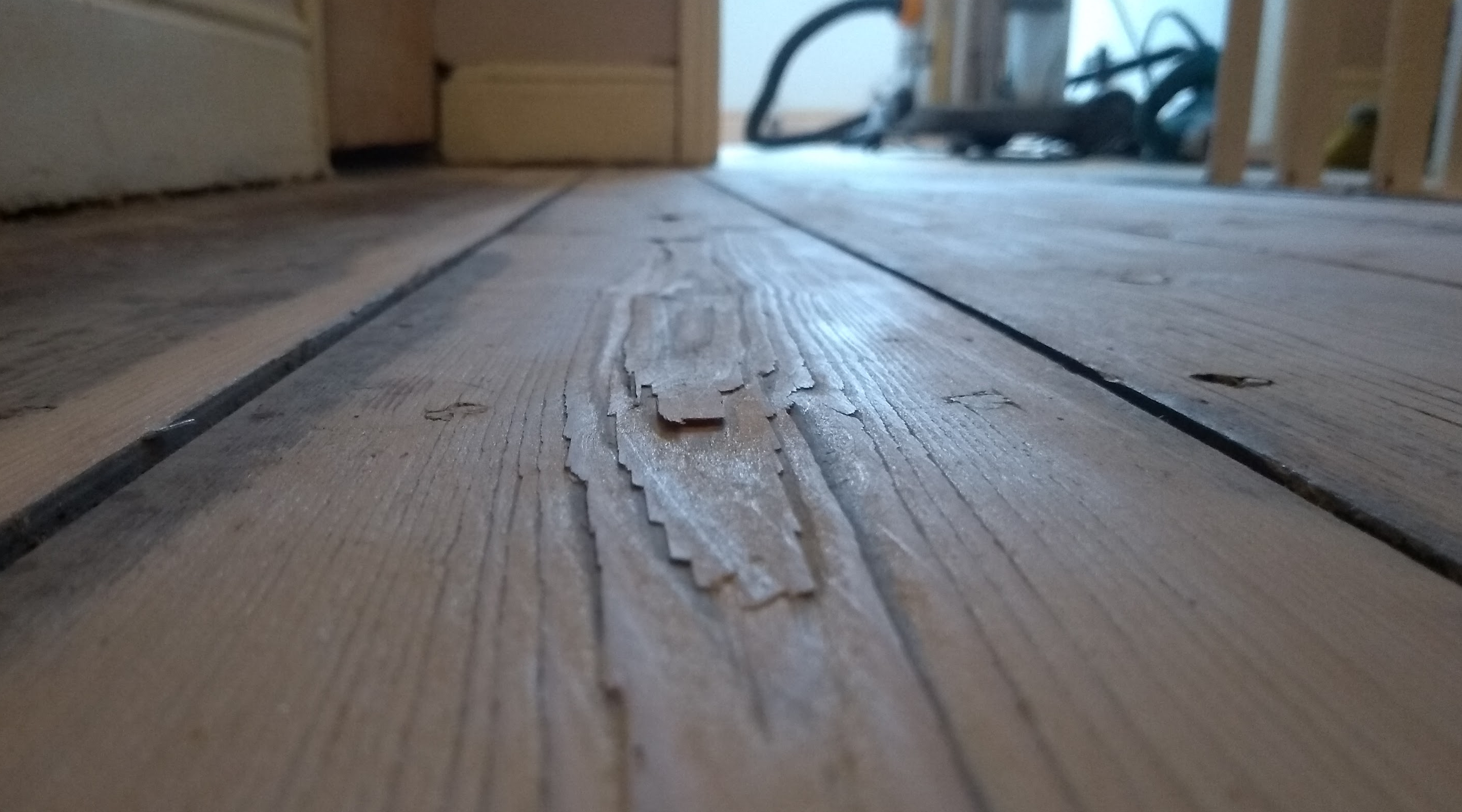 Floorboard showing flake of wood lifting along the grain